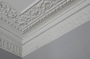 Plastering and Coving Ash